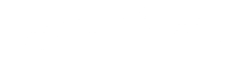 Sans Limite